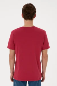 US Polo Assn. Men Regular Fit Crew Neck Cherry T-Shirt - Image 5