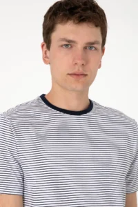 US Polo Assn. Men Regular Fit Crew Neck Navy Blue Striped T-Shirt - Image 2