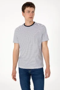 US Polo Assn. Men Regular Fit Crew Neck Navy Blue Striped T-Shirt - Image 3