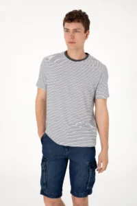 US Polo Assn. Men Regular Fit Crew Neck Black Striped T-Shirt