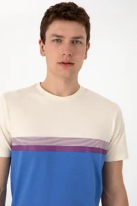 US Polo Assn. Men Regular Fit Crew Neck Indigo T-Shirt - Image 2