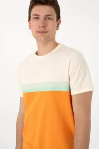 US Polo Assn. Men Regular Fit Crew Neck Orange T-Shirt - Image 2
