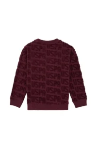 US Polo Assn. Boys' Burgundy Crew Neck Sweatshirt - Image 5