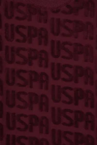 US Polo Assn. Boys' Burgundy Crew Neck Sweatshirt - Image 6