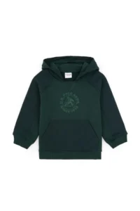 US Polo Assn. Boys' Dark Green Hooded Sweatshirt - Image 3