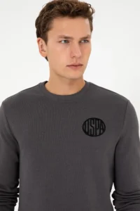 US Polo Assn. Men Regular Fit Crew Neck Gray Sweatshirt - Image 2