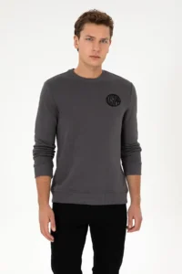 US Polo Assn. Men Regular Fit Crew Neck Gray Sweatshirt - Image 3