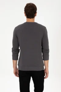 US Polo Assn. Men Regular Fit Crew Neck Gray Sweatshirt - Image 5