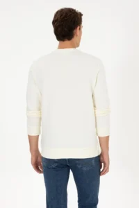 US Polo Assn. Men Regular Fit Crew Neck Cream Sweatshirt - Image 5