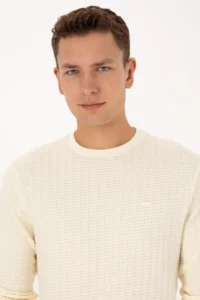 US Polo Assn. Men Regular Fit Crew Neck Patterned Cream Sweatshirt - Image 2