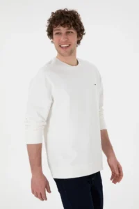 US Polo Assn. Men comfort Fit Crew Neck Ecru Thin Sweatshirt - Image 3
