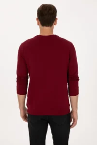 US Polo Assn. Men Regular Fit Crew Neck Burgundy Thin Basic Sweatshirt - Image 5