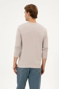 US Polo Assn. Men Regular Fit Crew Neck Stone Thin Basic Sweatshirt - Image 5