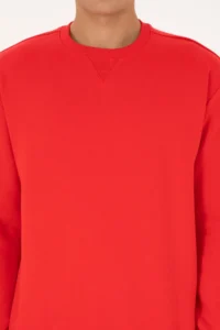 US Polo Assn. Men comfort Fit Crew Neck Fleece Red Basic Sweatshirt - Image 6