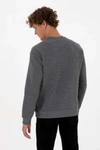 US Polo Assn. Men comfort Fit Crew Neck Fleece Anthracite Melanj Basic Sweatshirt - Image 5