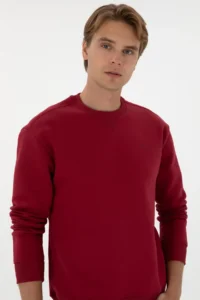 US Polo Assn. Men comfort Fit Crew Neck Fleece Koyu Raspberry Basic Sweatshirt - Image 2
