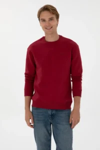 US Polo Assn. Men comfort Fit Crew Neck Fleece Koyu Raspberry Basic Sweatshirt - Image 3