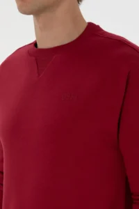 US Polo Assn. Men comfort Fit Crew Neck Fleece Koyu Raspberry Basic Sweatshirt - Image 7