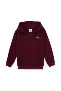 US Polo Assn. Boys' Burgundy Basic Hooded Fleece Sweatshirt