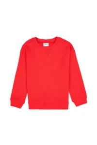 US Polo Assn. Boys' Red Crew Neck Basic Sweatshirt - Image 5