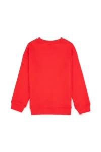 US Polo Assn. Boys' Red Crew Neck Basic Sweatshirt - Image 6