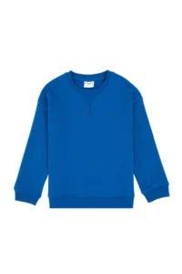 US Polo Assn. Boys' Saks Blue Crew Neck Basic Sweatshirt - Image 2