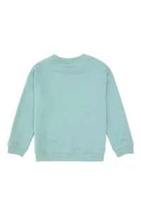 US Polo Assn. Boys' Mint Basic Sweatshirt - Image 6
