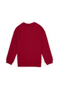 US Polo Assn. Boys' Koyu Raspberry Crew Neck Basic Sweatshirt - Image 4