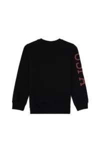 US Polo Assn. Boys' Black Basic Crew Neck Sweatshirt - Image 2