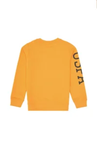 US Polo Assn. Boys' Mango Crew Neck Basic Sweatshirt - Image 4