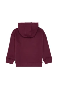 US Polo Assn. Boys' Burgundy Hooded Sweatshirt - Image 4
