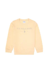 US Polo Assn. Boys' Pink Crew Neck Sweatshirt - Image 2