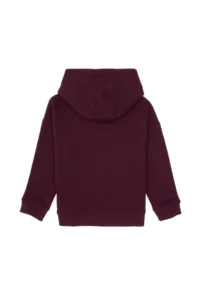 US Polo Assn. Boys' Burgundy Hooded Basic Sweatshirt - Image 2