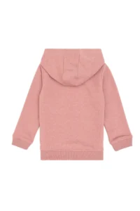 US Polo Assn. Boys' Orchid Basic Hooded Sweatshirt - Image 3