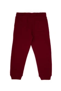 US Polo Assn. Boys' Burgundy Sweatpants - Image 5