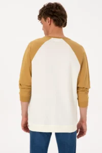 US Polo Assn. Men Crew Neck Regular Fit Khaki Thin Sweatshirt - Image 5