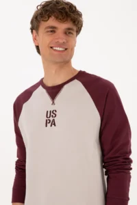 US Polo Assn. Men Crew Neck Regular Fit Burgundy Thin Sweatshirt - Image 2