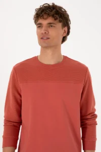 US Polo Assn. Men Regular Fit Crew Neck Dusty Rose Thin Sweatshirt - Image 2