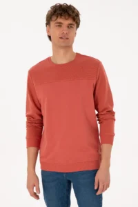 US Polo Assn. Men Regular Fit Crew Neck Dusty Rose Thin Sweatshirt - Image 3