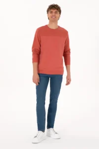 US Polo Assn. Men Regular Fit Crew Neck Dusty Rose Thin Sweatshirt - Image 4