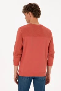 US Polo Assn. Men Regular Fit Crew Neck Dusty Rose Thin Sweatshirt - Image 5