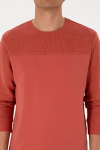 US Polo Assn. Men Regular Fit Crew Neck Dusty Rose Thin Sweatshirt - Image 6