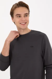 US Polo Assn. Men Regular Fit Crew Neck Gray Sweatshirt - Image 2