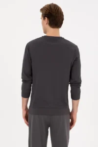 US Polo Assn. Men Regular Fit Crew Neck Gray Sweatshirt - Image 5