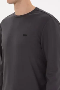 US Polo Assn. Men Regular Fit Crew Neck Gray Sweatshirt - Image 7