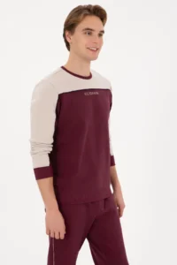 US Polo Assn. Men Regular Fit Crew Neck Burgundy Sweatshirt - Image 3