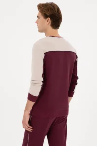 US Polo Assn. Men Regular Fit Crew Neck Burgundy Sweatshirt - Image 5