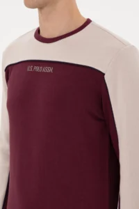 US Polo Assn. Men Regular Fit Crew Neck Burgundy Sweatshirt - Image 7