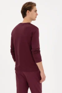 US Polo Assn. Men Regular Fit Crew Neck Burgundy Sweatshirt - Image 5