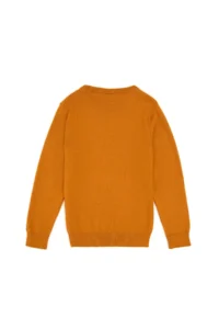 US Polo Assn. Boys' Mustard Crew Neck Basic Sweater - Image 4